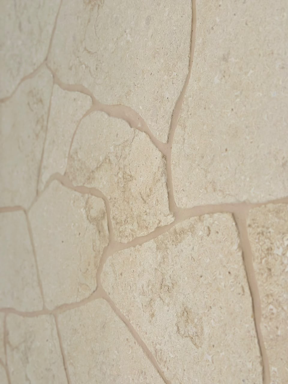 TRAVERTINO EGÍPCIO ORGÂNICO